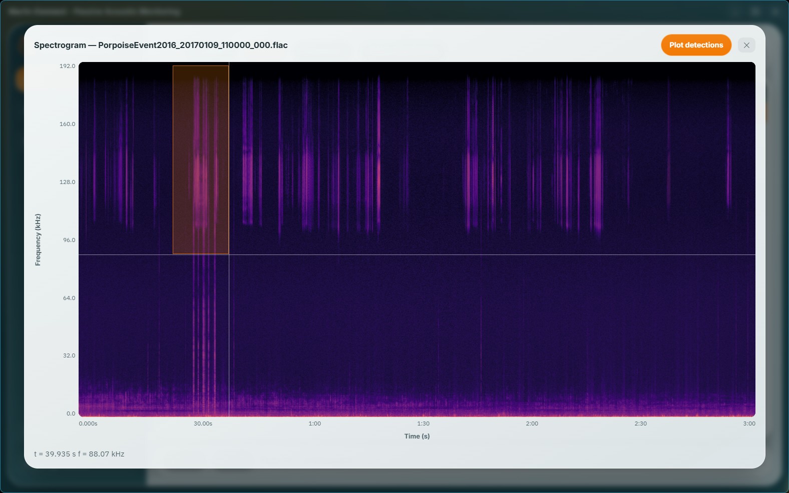 A zoom box being dragged over a cluster of porpoise clicks on a Marlin spectrogram