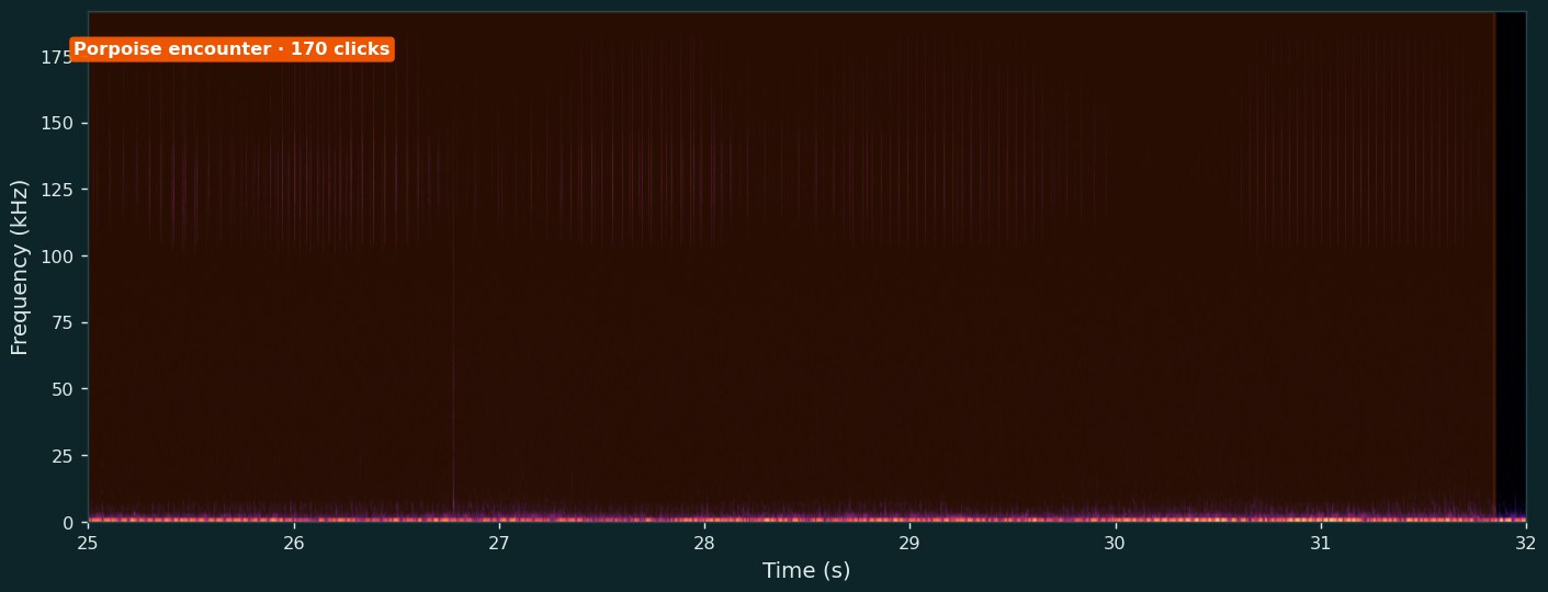 A harbour porpoise click-train encounter marked on a MARLIN spectrogram